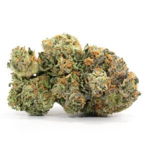Acquistare Critical Kush